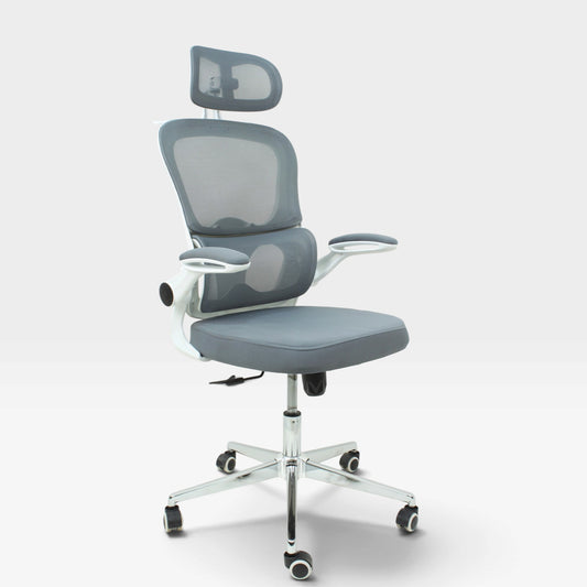 CHAISE ERGONOMIQUE ROYAUME
