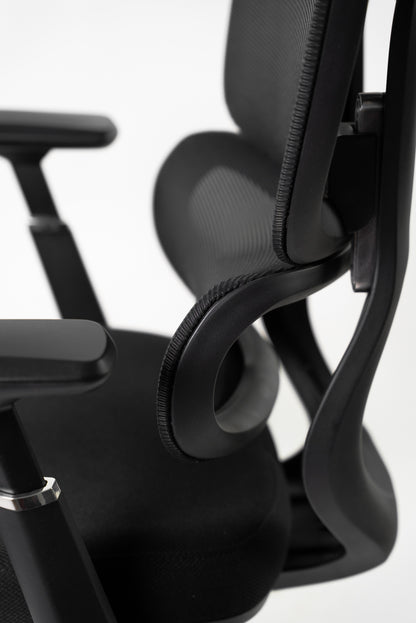 CHAIS ERGONOMIQUE ZF 01
